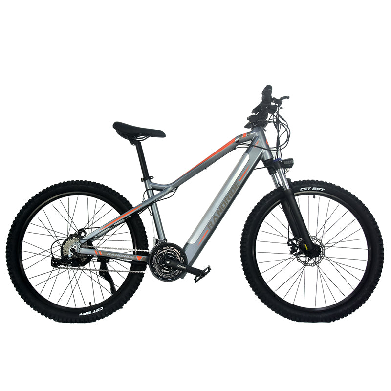 Billings City eBike Grey+Orange 750W